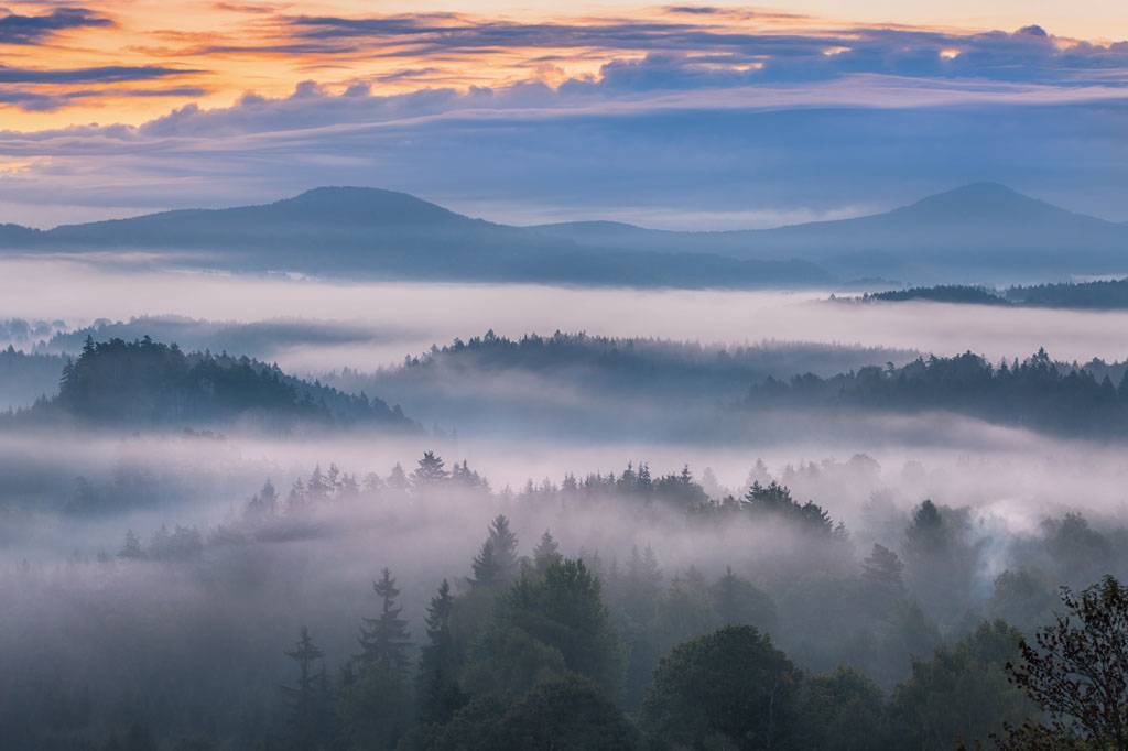 Фотообои Туман над лесом