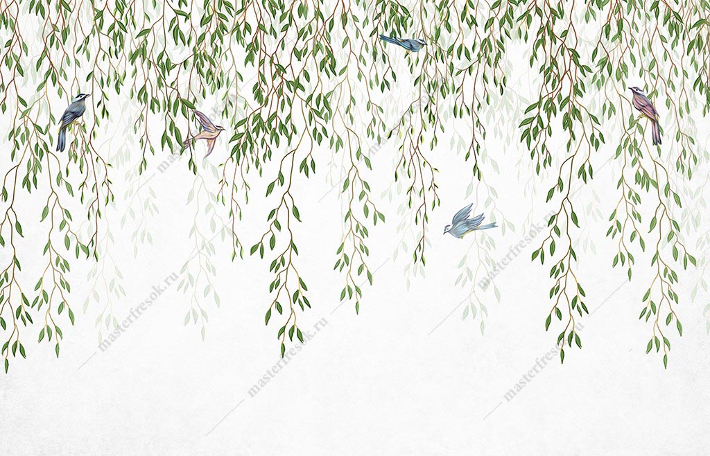 Фотообои Зеленые ветви ивы