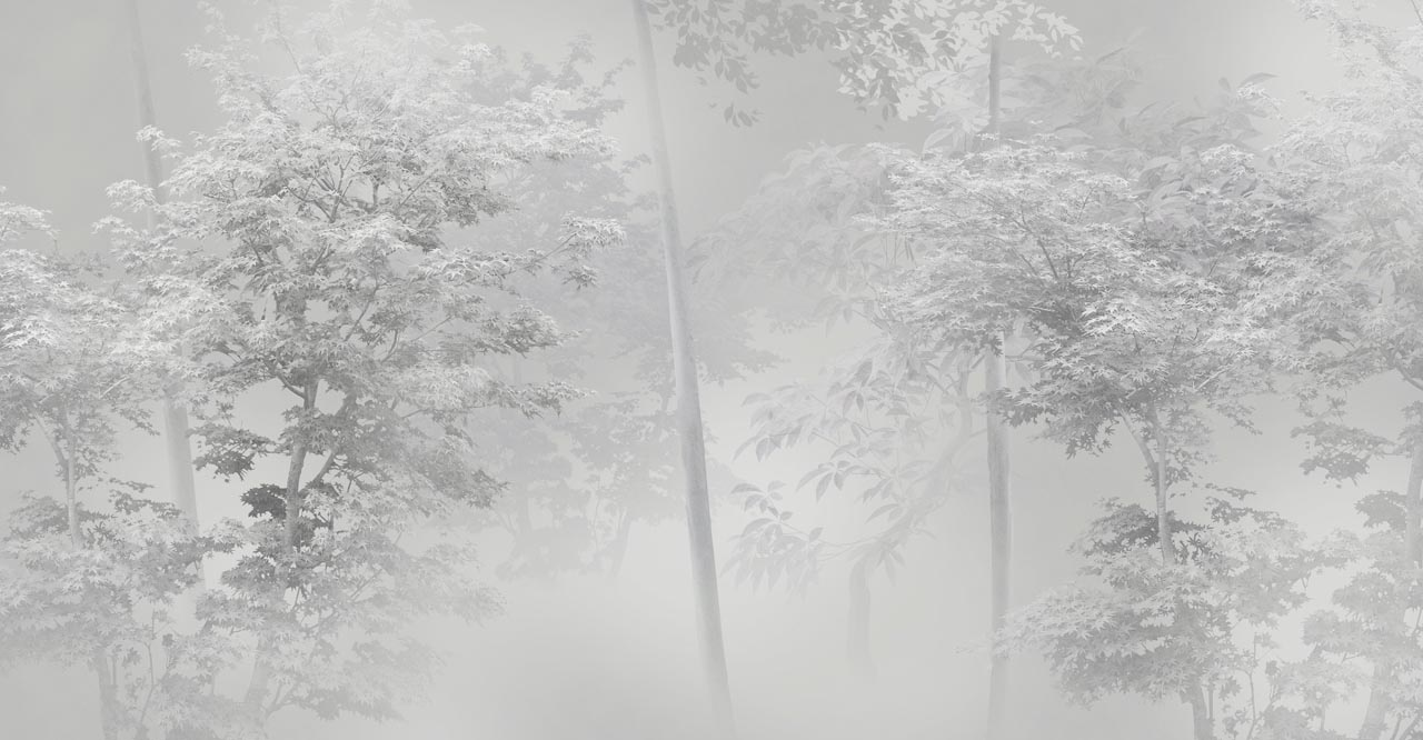 Фотообои Серый зимний лес